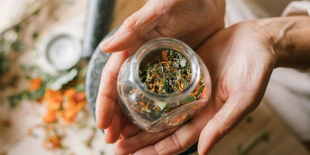 Plantes dépuratives comment nettoyer votre corps en profondeur