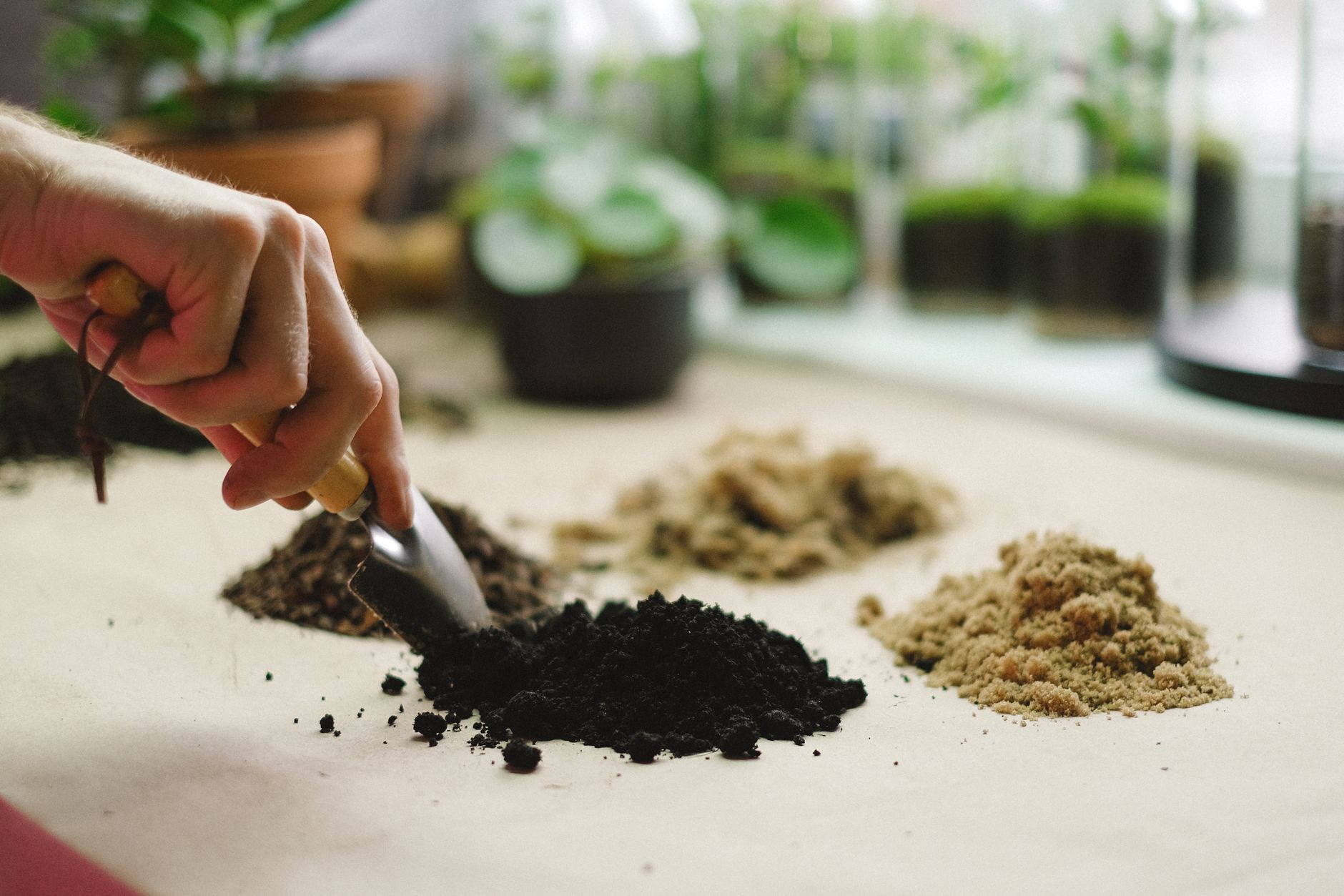 Comment choisir un terreau adapté à vos plantes