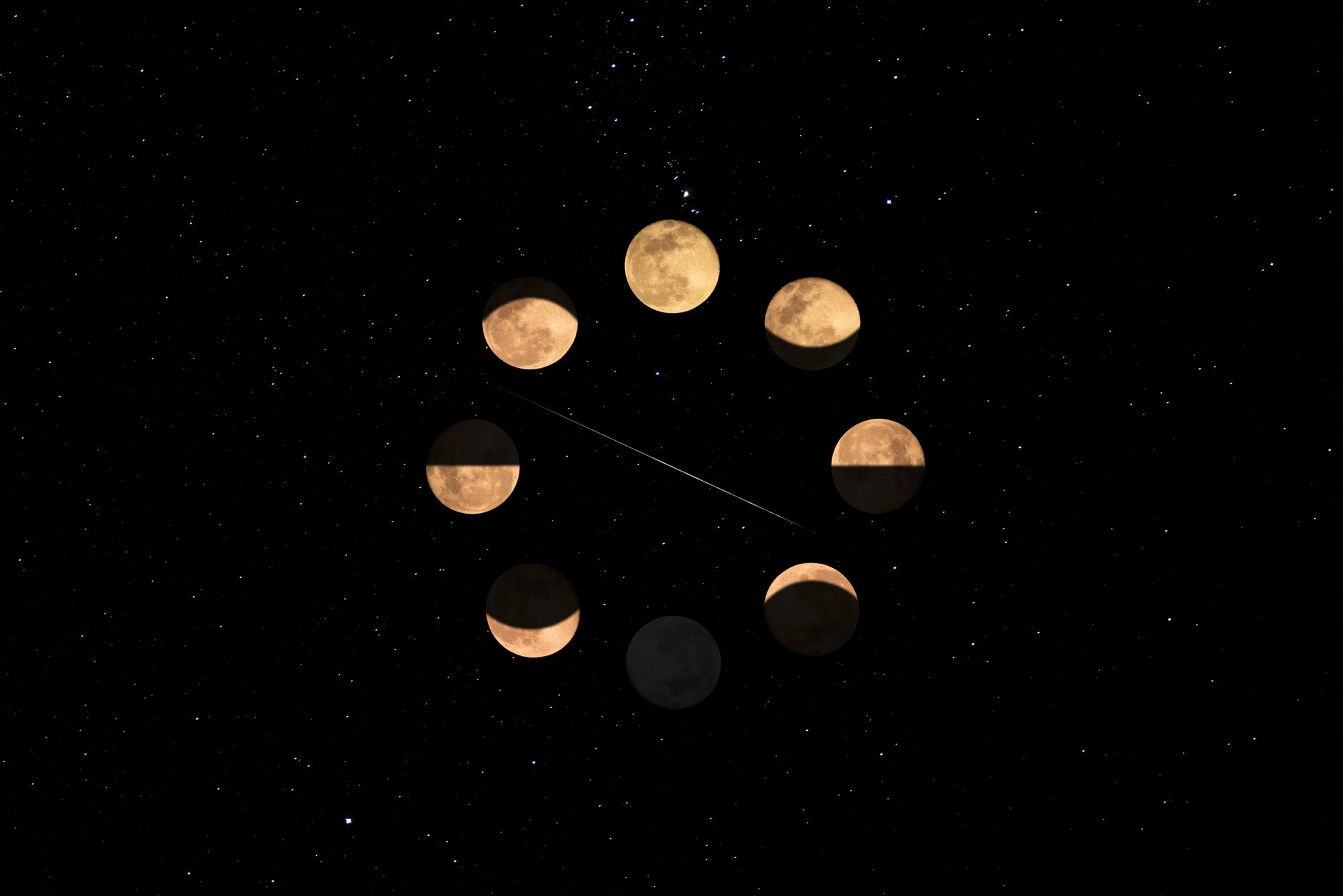 Comment le calendrier lunaire influence la culture du poireau