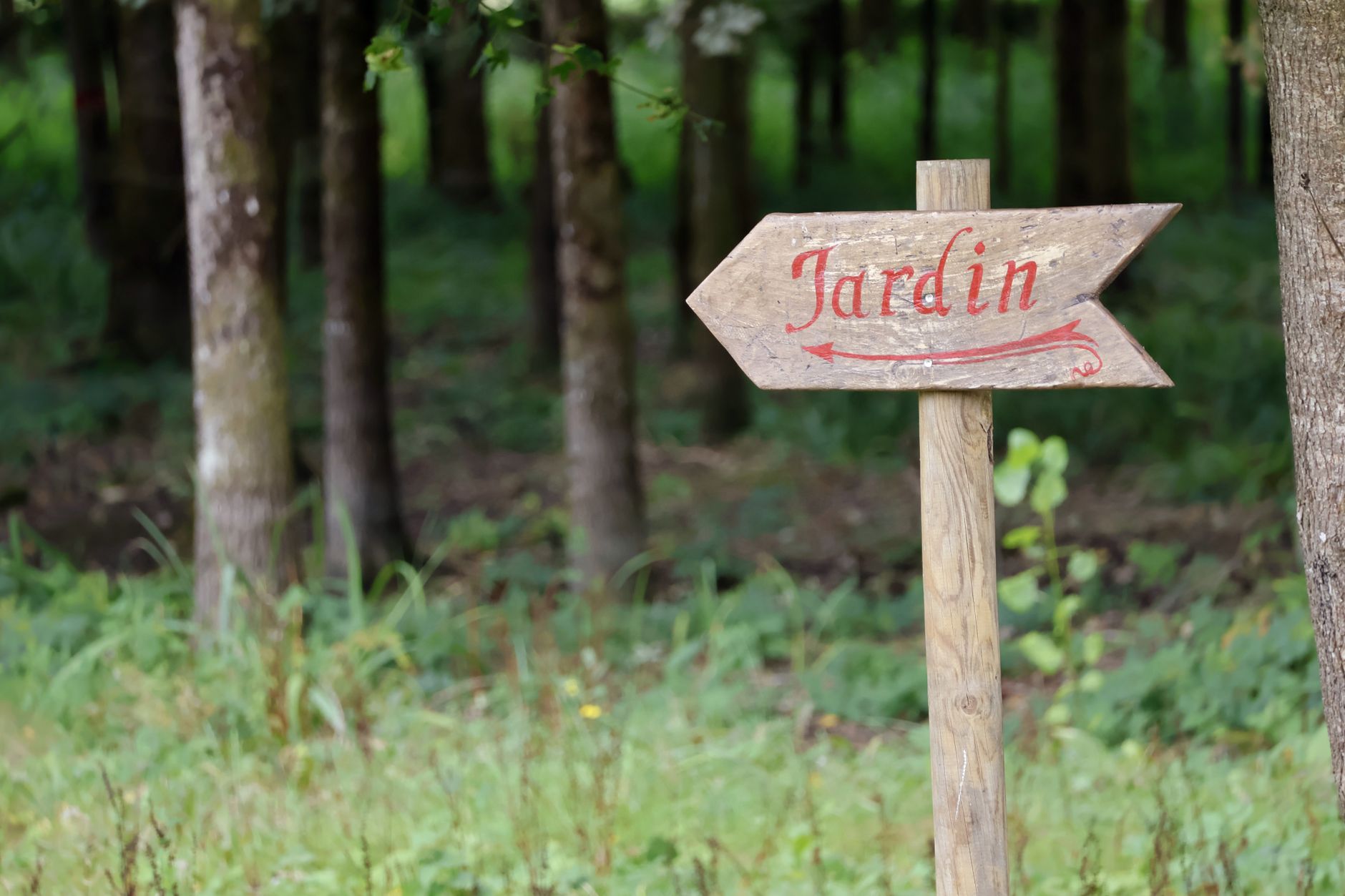 Depuis les épisodes caniculaires, aménagez un jardin résilient et esthétique