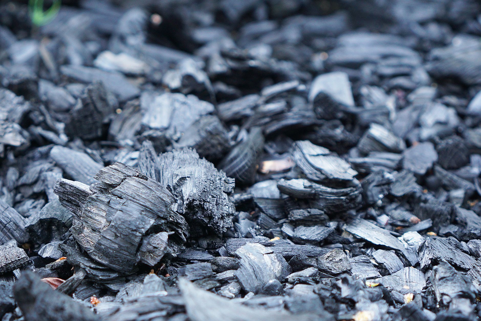 Dès cet automne, choisir entre biochar et compost pour un sol fertile