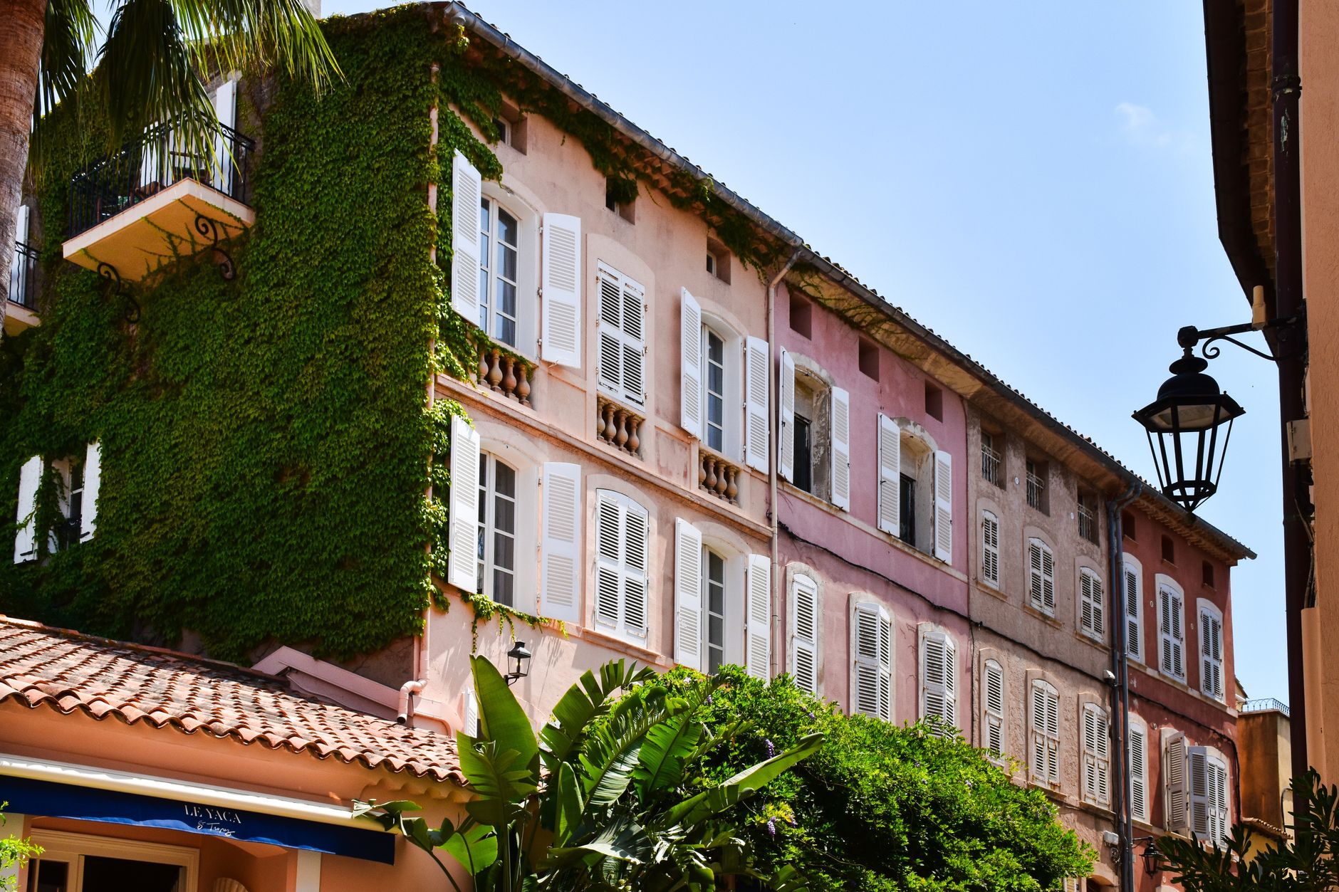 Transformez votre balcon en potager productif malgré l'espace limité