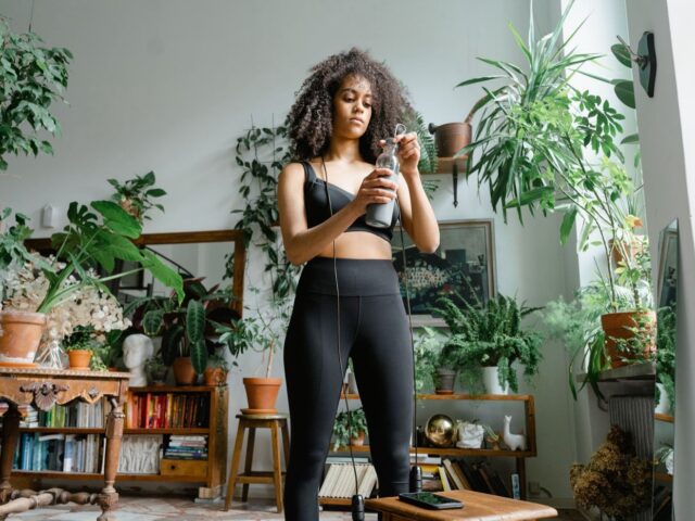 Lechuza : adapté aux plantes d’intérieur ?