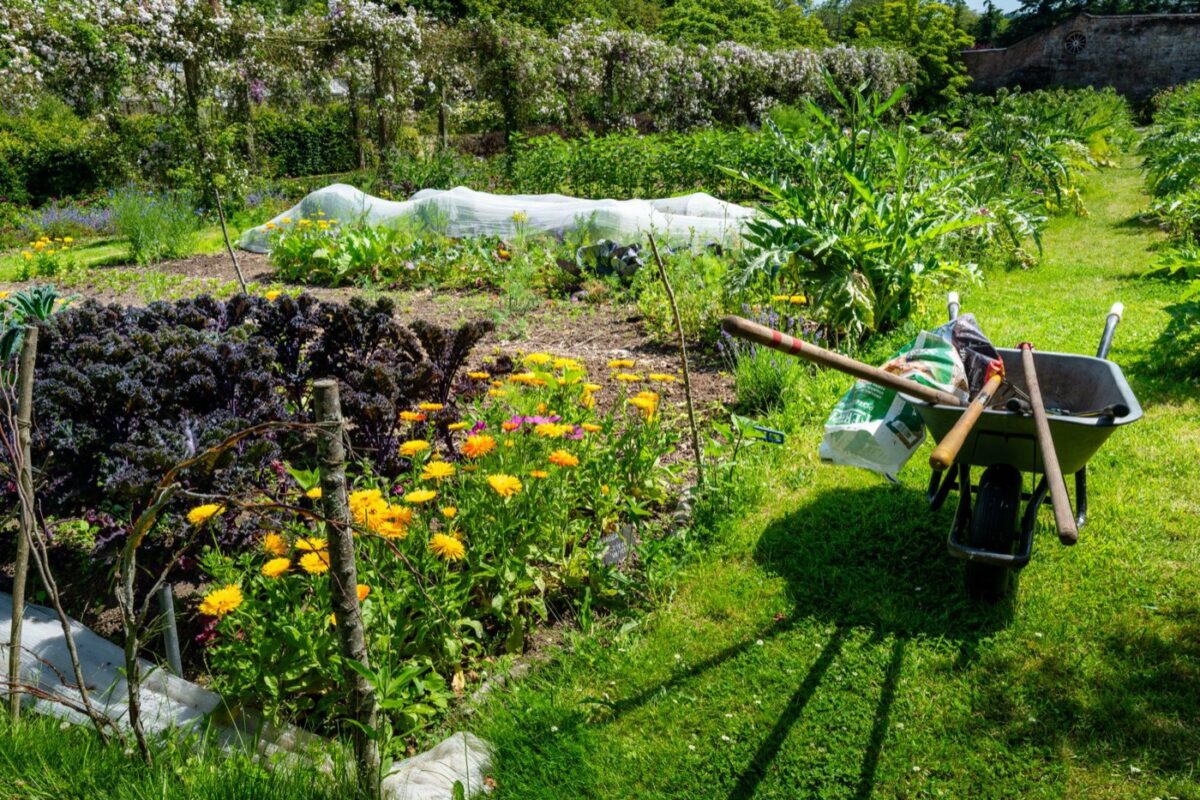 Outils essentiels pour un petit potager en ville
