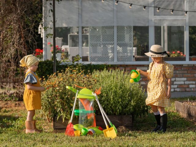 Outils essentiels pour petit jardinier (balcon et bacs)