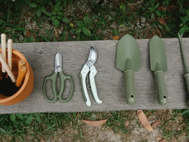 Outils essentiels pour petit jardinier (balcon et bacs)