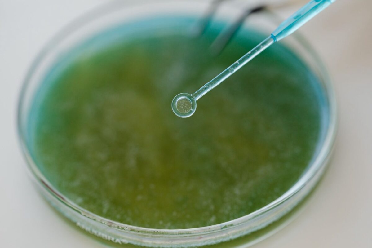 Probiotiques cutanés : révélez l'équilibre naturel de votre peau