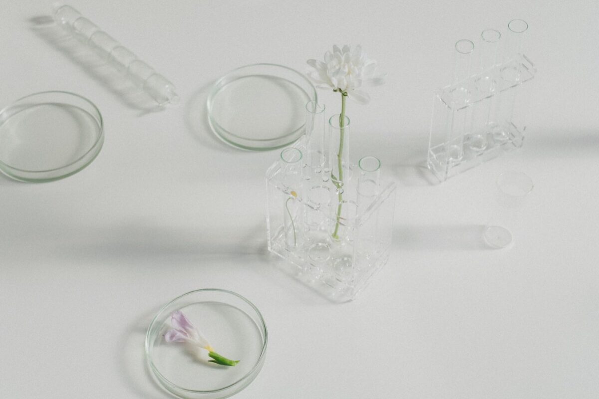 Probiotiques cutanés : révéler l'éclat naturel de la peau