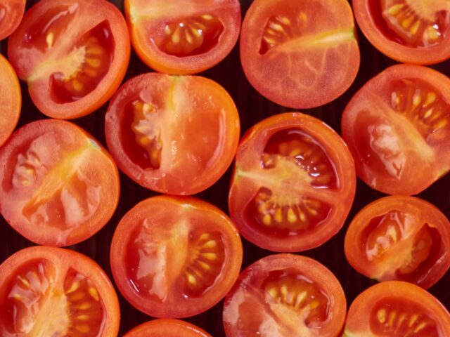 La méthode naturelle pour des semis de tomates réussis