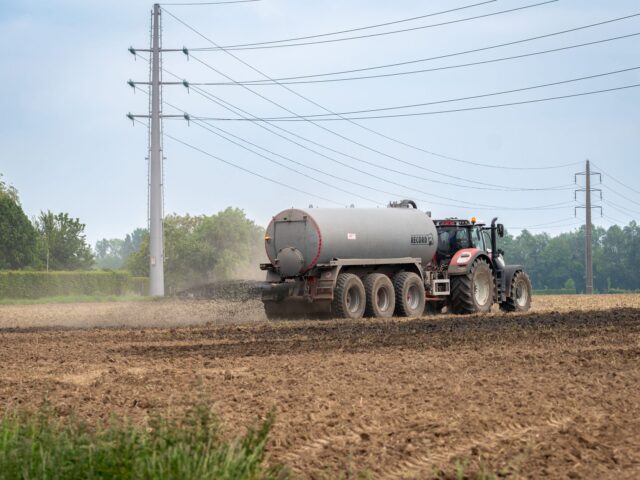 Pourquoi semer des engrais verts à l’automne transforme votre sol pour le printemps ?