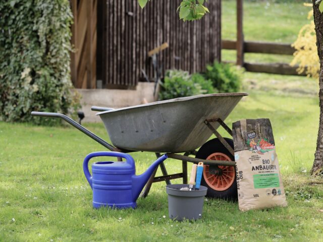 Comment choisir un terreau adapté à vos plantes