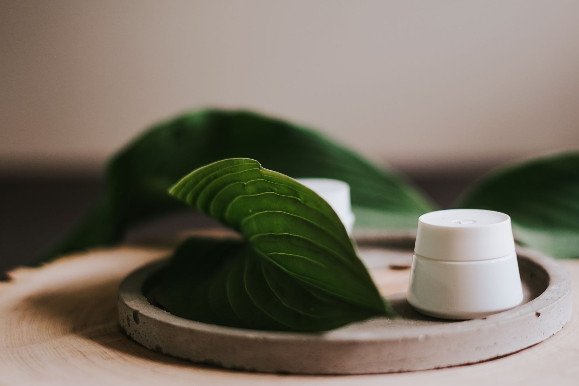 Probiotiques cutanés : révélez l'équilibre naturel de votre peau