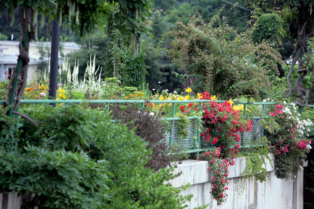Gamm Vert ou Botanic pour aménager son balcon