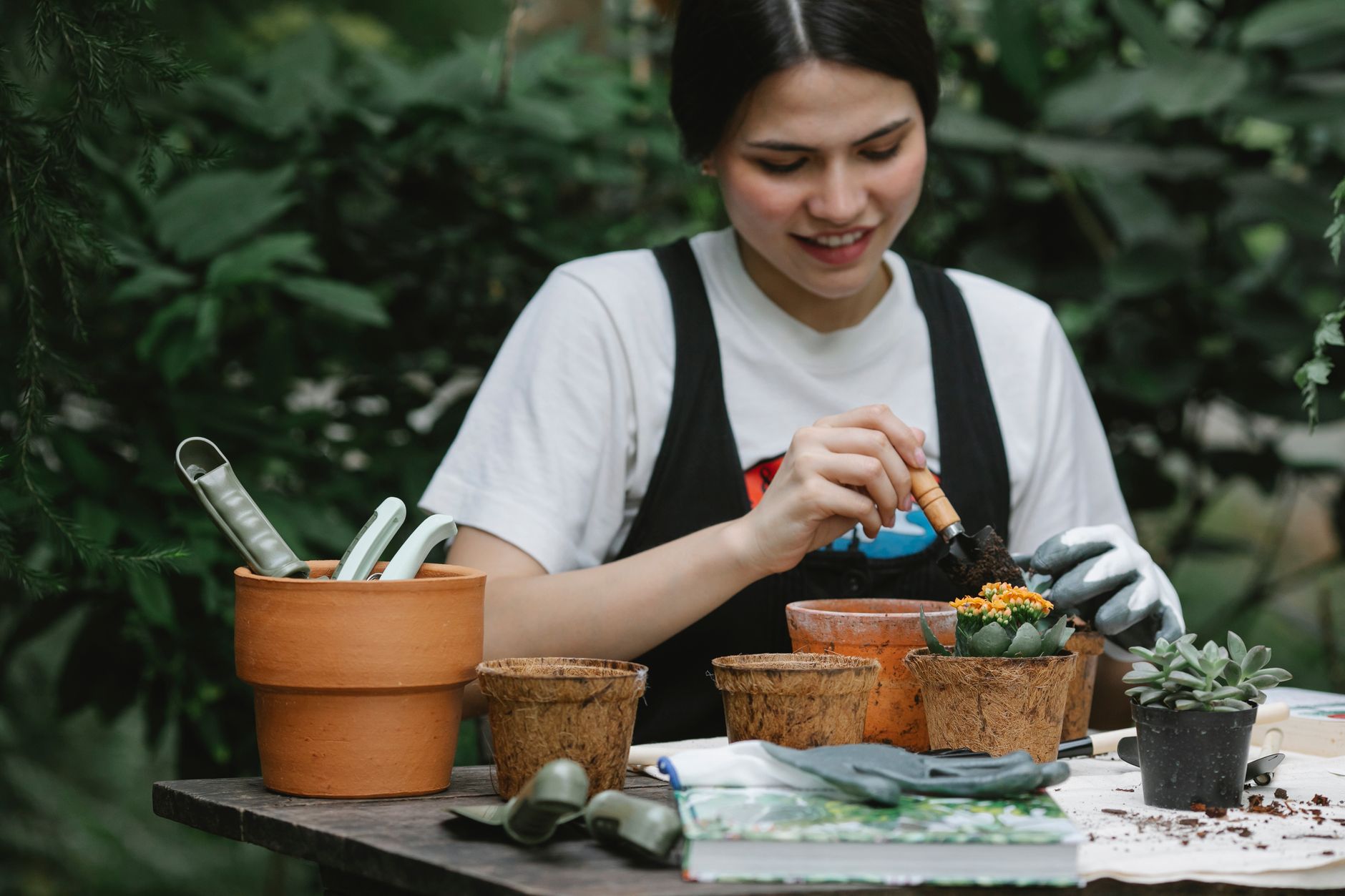 Guide pratique pour l'entretien des plantes succulentes