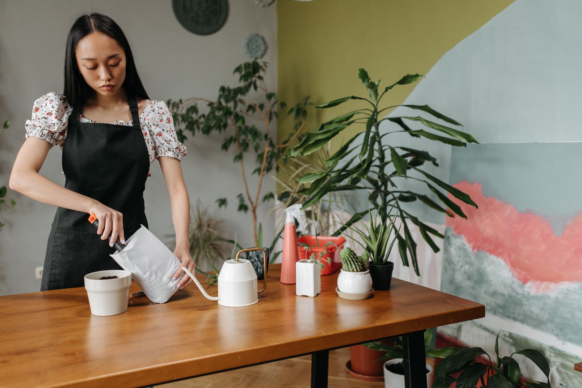 Comment bien choisir le terreau adapté à vos plantes ?