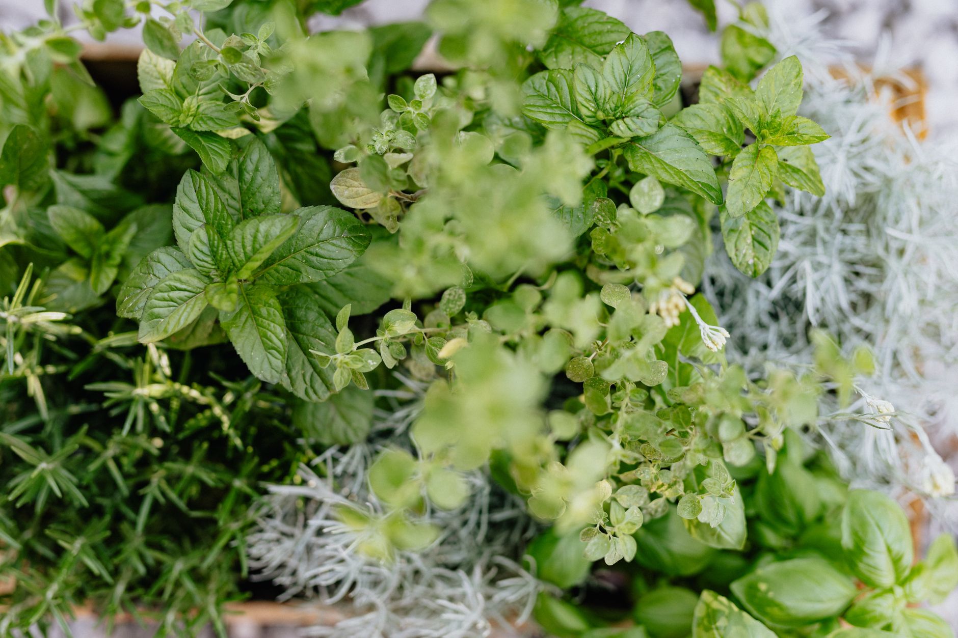 Aménager un balcon en potager et plantes aromatiques