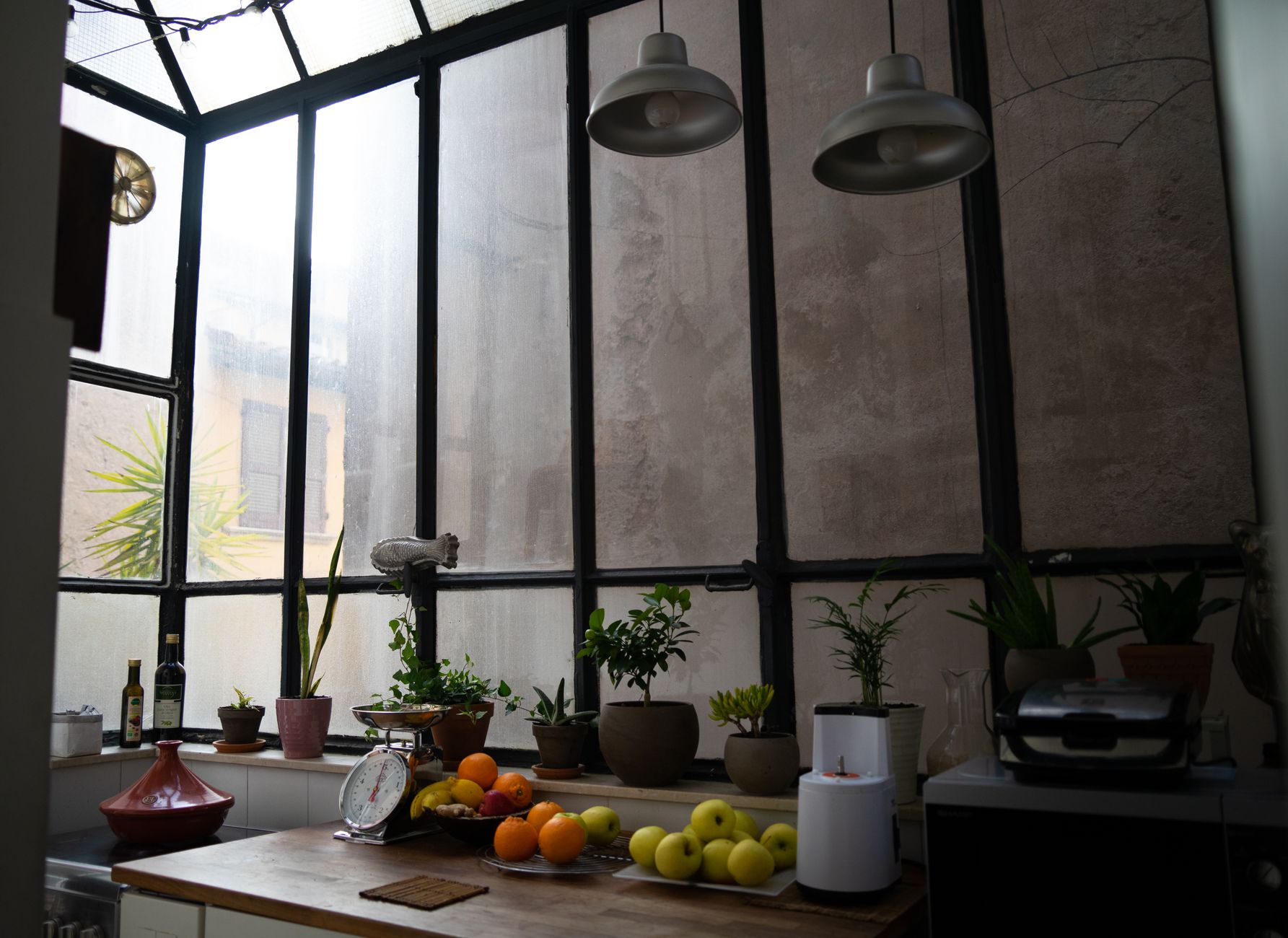 Plantes d'intérieur adaptées aux pièces peu éclairées