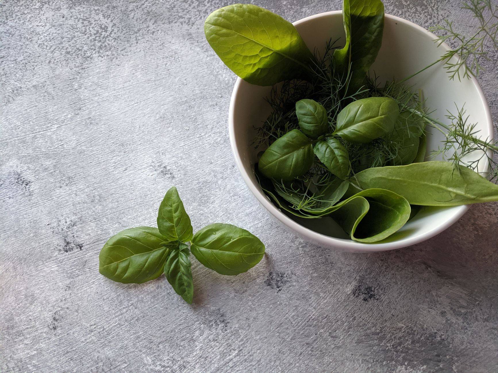 Herbes du balcon : recettes simples et conservation