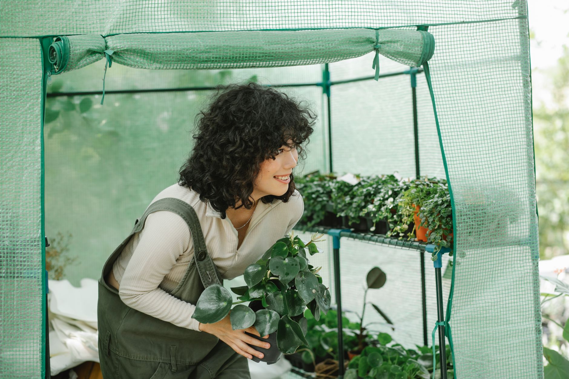 Serre tunnel ou serre fixe : choisir pour le potager