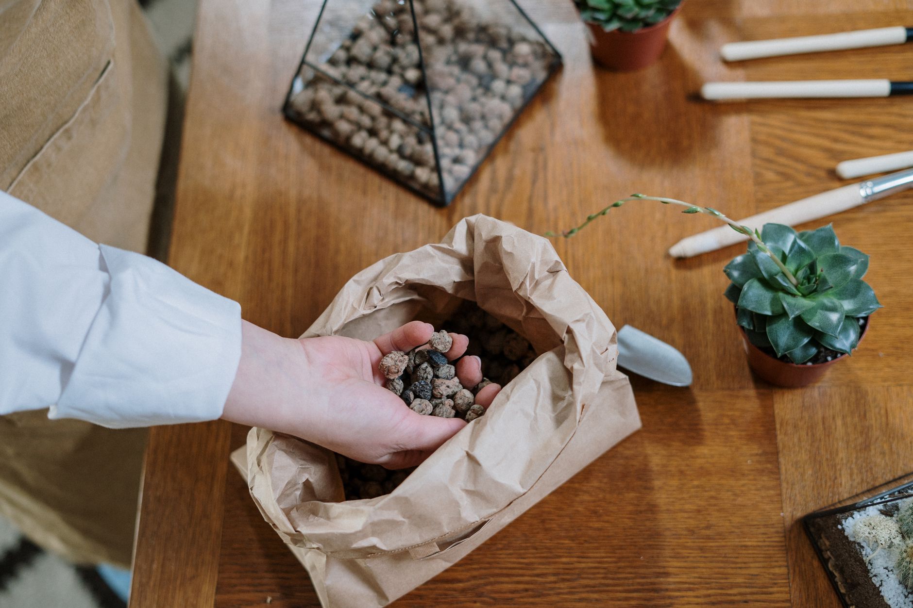 Arroser les plantes d'intérieur selon saison et substrat