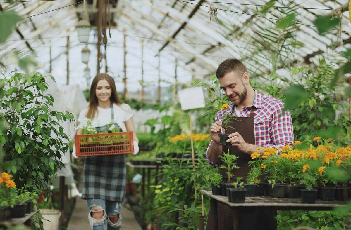 Truffaut ou Jardiland : quelle jardinerie choisir ?